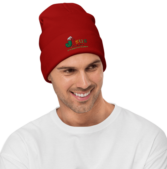 Men/Women Unisex Christmas Embroidered Beanie